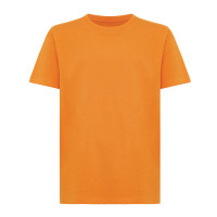 oranje (± PMS 16-1255 TCX)